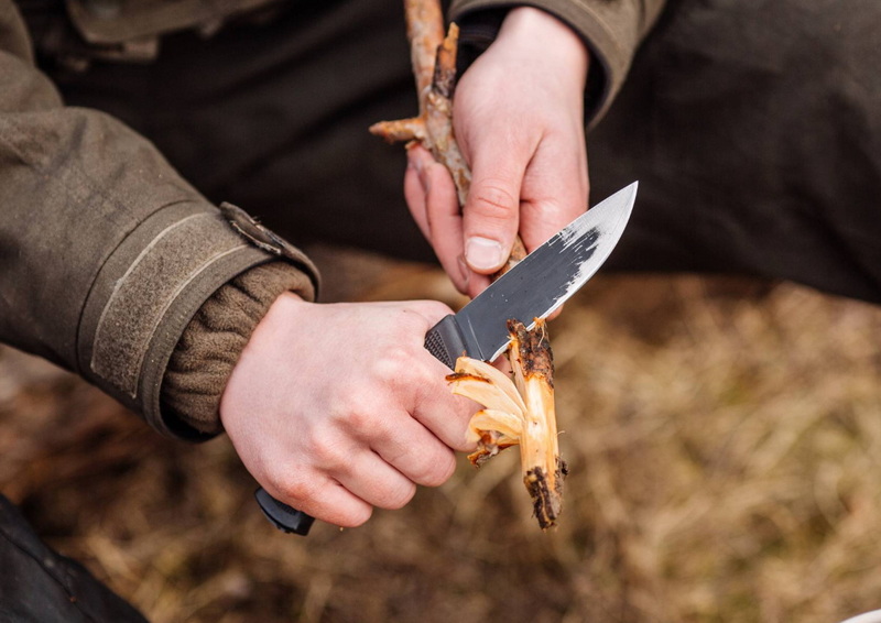 Common Mistakes When Buying a Butcher Knife Online Common Mistakes When Buying a Butcher Knife Online