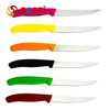 Fruit Paring Knife