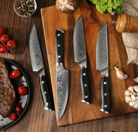 //irrorwxhopolln5m.ldycdn.com/cloud/libpjklilqsrklklilookq/top-damascus-kitchen-knife-set-manufacturers-and-suppliers-in-italy.jpg