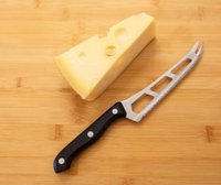 //irrorwxhopolln5m.ldycdn.com/cloud/liBpjKlilqSRklqqiqlpkp/Top-Cheese-Knife-Manufacturers-And-Suppliers-in-Canada.jpg