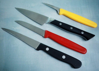 //irrorwxhopolln5m.ldycdn.com/cloud/liBpjKlilqSRllkjmpkpkp/Best-Paring-Knives-for-Precision-Cutting-in.jpg