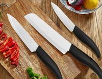 //irrorwxhopolln5m.ldycdn.com/cloud/ljBpjKlilqSRjljppmrmkp/Top-Paring-Knife-Manufacturers-And-Suppliers-in-Germany.jpg