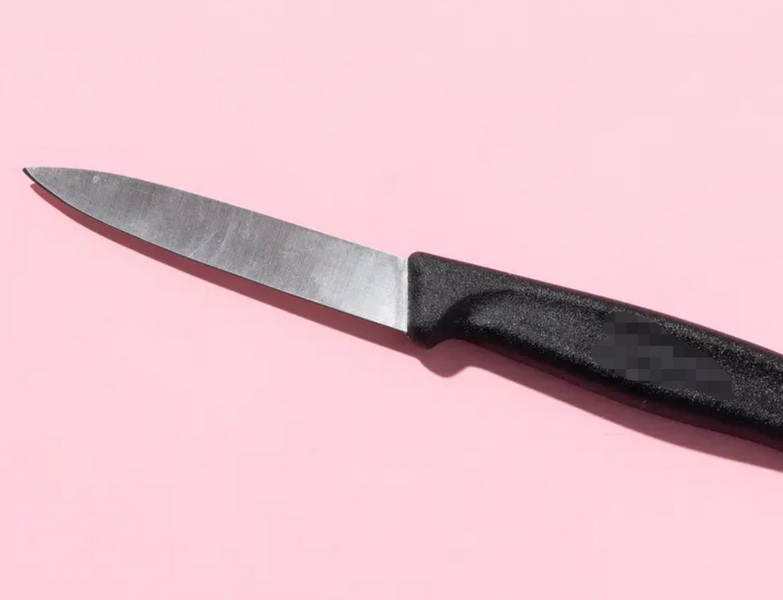 Chef Recommended Paring Knife Chef Recommended Paring Knife