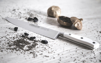 //irrorwxhopolln5m.ldycdn.com/cloud/llBpjKlilqSRjlkpirjlko/Top-Paring-Knife-Manufacturers-And-Suppliers-in-Spain.jpg
