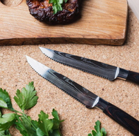 //irrorwxhopolln5m.ldycdn.com/cloud/llBpjKlilqSRklkkiklkko/Top-Serrated-Steak-Knife-Manufacturers-And-Suppliers-in-Japan.jpg