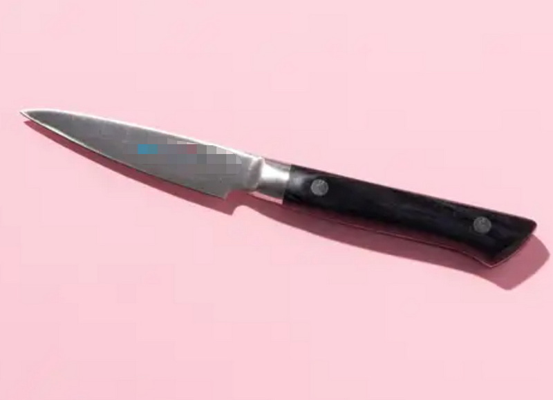 Global Kitchen Knife Market Trends Global Kitchen Knife Market Trends