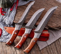 //irrorwxhopolln5m.ldycdn.com/cloud/llBpjKlilqSRllriojjnko/Professional-Butcher-Knives-for-Meat-Shops-And-Restaurants.jpg