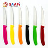 Fruit Paring Knife