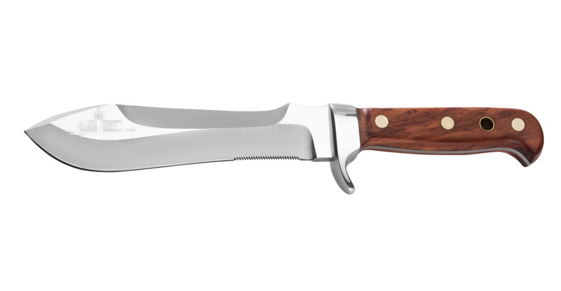 Best Butcher Knives France