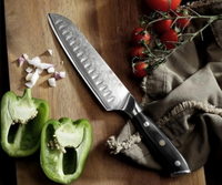 //irrorwxhopolln5m.ldycdn.com/cloud/lmbpjklilqsrklmoqokikq/top-light-croad-chef-knife-manufacturers-suppliers-in-south-korea.jpg