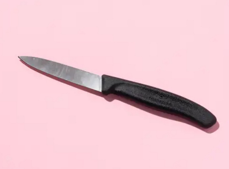 Affordable Fruit Paring Knife Suppliers Italy
