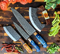 //irrorwxhopolln5m.ldycdn.com/cloud/lmBpjKlilqSRklrlmlliko/Top-Damascus-Kitchen-Knife-Set-Manufacturers-And-Suppliers-in-France.jpg
