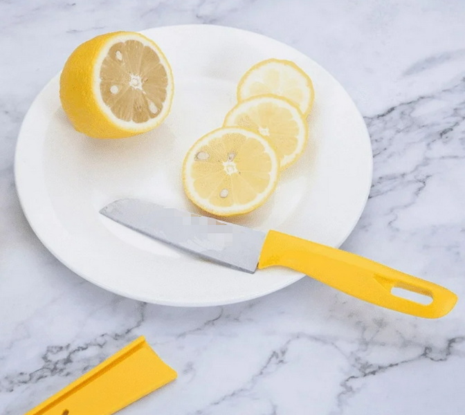 Leading Paring Knife Exporters Germany