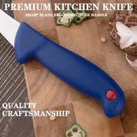 //irrorwxhopolln5m.ldycdn.com/cloud/lnBpjKlilqSRklpkkrmnkq/non-slip-butcher-knife_495_495.jpg