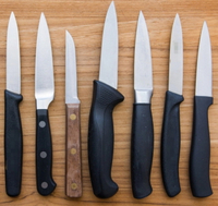 //irrorwxhopolln5m.ldycdn.com/cloud/lnBpjKlilqSRllmjimljkq/SAAFI-Custom-Paring-Knives-Tailored-Design-And-Packaging-Options.jpg