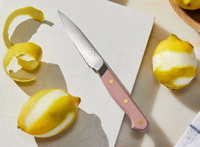 //irrorwxhopolln5m.ldycdn.com/cloud/loBpjKlilqSRklnkpqppkp/Top-Fruit-Paring-Knife-Manufacturers-And-Suppliers-in-Germany.jpg