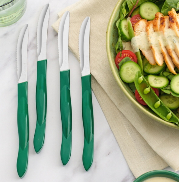 Made In France Knife Sets Wholesale
