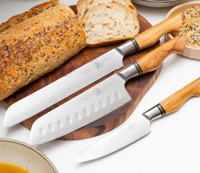 //irrorwxhopolln5m.ldycdn.com/cloud/lpBpjKlilqSRkloinplqkq/Top-Household-Knife-Set-Manufacturers-And-Suppliers-in-France.jpg