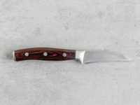 //irrorwxhopolln5m.ldycdn.com/cloud/lpBpjKlilqSRklrlplrnko/Top-Fruit-Paring-Knife-Manufacturers-And-Suppliers-in-Japan.jpg