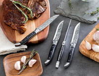 //irrorwxhopolln5m.ldycdn.com/cloud/lpBpjKlilqSRlllliiloko/Best-Steak-Knives-for-Outdoor-BBQs-And-Grilling-Enthusiasts.jpg