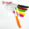 Fruit Paring Knife