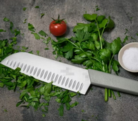 //irrorwxhopolln5m.ldycdn.com/cloud/lqBpjKlilqSRklqmpjjjkq/How-A-Precision-Made-Chef-Knife-Enhances-Cooking-Efficiency.jpg
