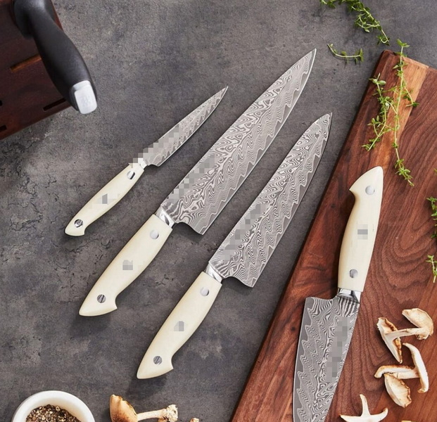 Professional Knife Set Suppliers Germany