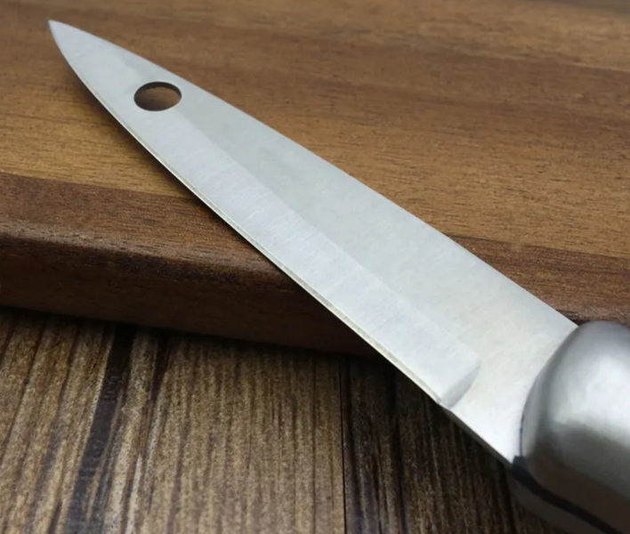 Professional Paring Knife Review