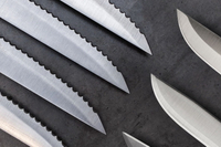 //irrorwxhopolln5m.ldycdn.com/cloud/lqBpjKlilqSRllrkirrnkn/A-Closer-Look-at-Paring-Knife-Edge-Types-Straight-Vs-Serrated.jpg