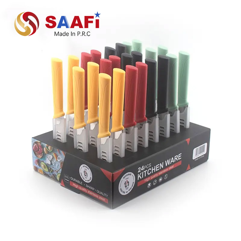 24 Pcs Paring Fruit Knife