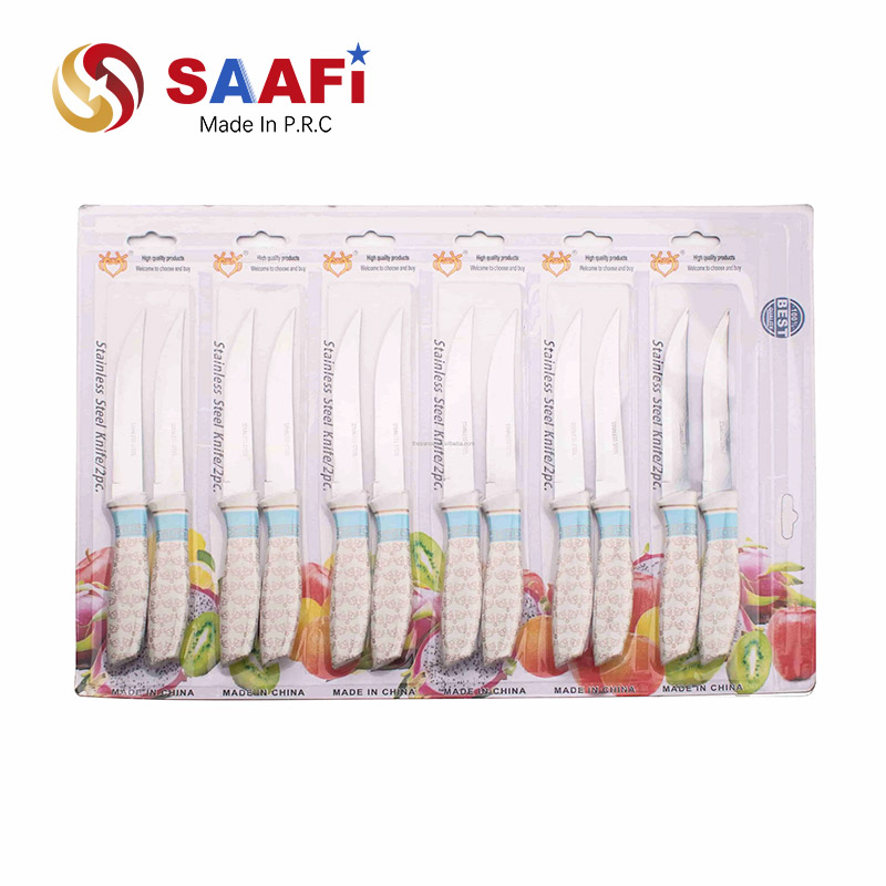 12 Pcs Paring Fruit Knife