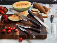 //irrorwxhopolln5m.ldycdn.com/cloud/lrbpjklilqsrklnjqlqpkp/top-trends-in-knife-set-designs-for.jpg