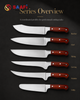 Professional Wood Handle Kitchen Knife Set for Butcher, Chef, Slicing And Utility Use